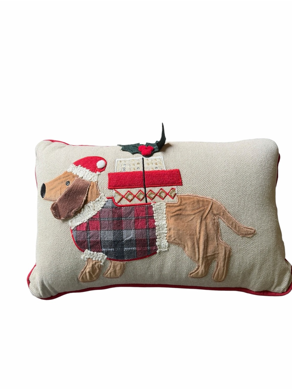 Secret Celebrity NEW Christmas Santa Dachshund Throw Pillow